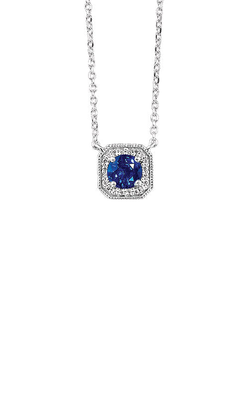 Albert's 10k White Gold .68ctw Blue Sapphire and Diamond Necklace PD10724-1WSCCS