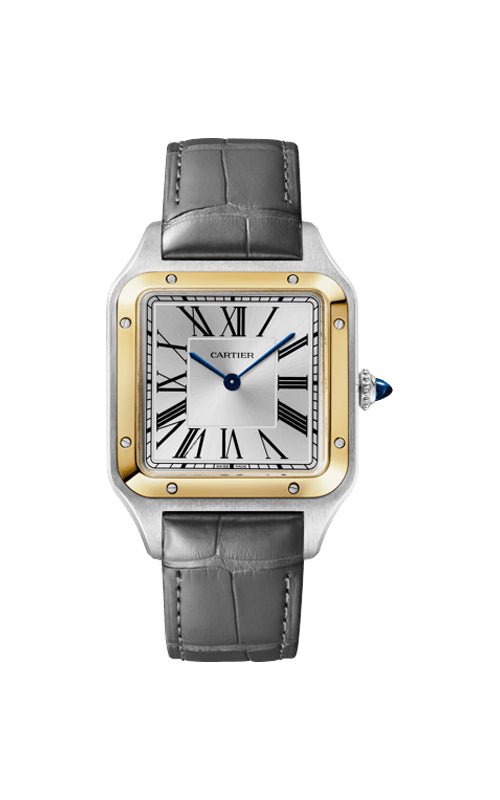Cartier Men's Watch