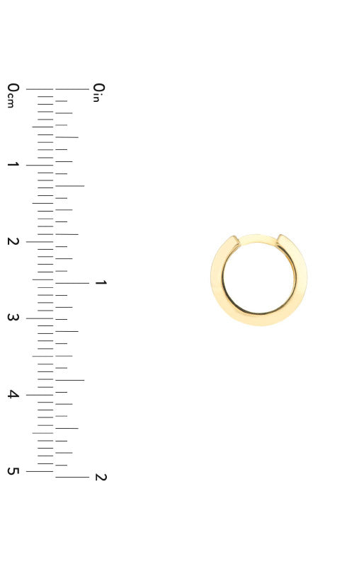 Albert's Hoop Earring