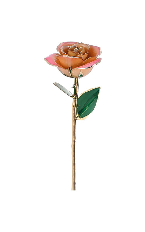 Albert's Lacquer Dipped Gold Trimmed Champagne & Pink Rose With Box and Stand C-4