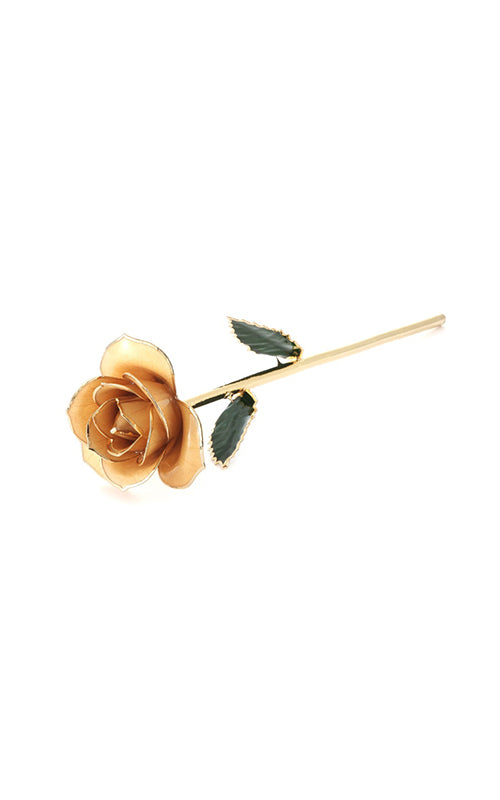 Albert's Lacquer Dipped Gold Trimmed Champagne Rose With Box and Stand