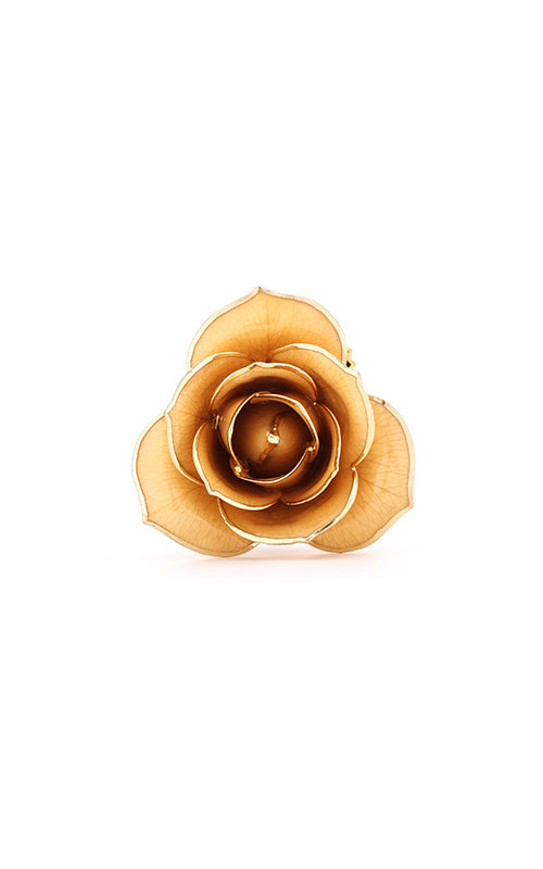 Albert's Lacquer Dipped Gold Trimmed Champagne Rose With Box and Stand