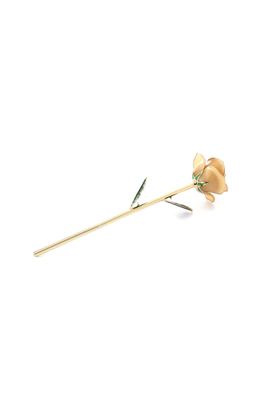 Albert's Lacquer Dipped Gold Trimmed Champagne Rose With Box and Stand