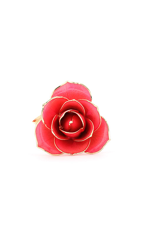 Albert's Lacquer Dipped Gold Trimmed Pink Rose With Box and Stand