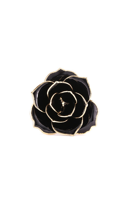 Albert's Lacquer Dipped Gold Trimmed Black Rose With Box and Stand