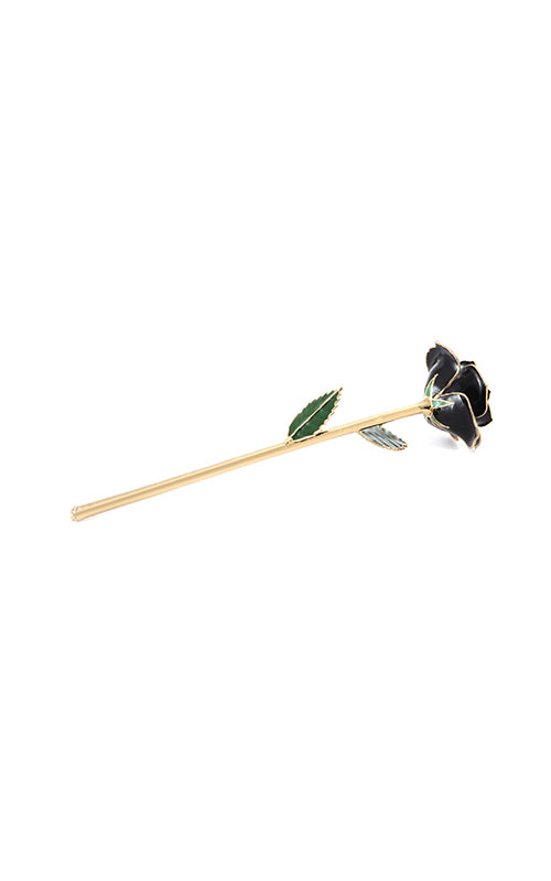 Albert's Lacquer Dipped Gold Trimmed Black Rose With Box and Stand