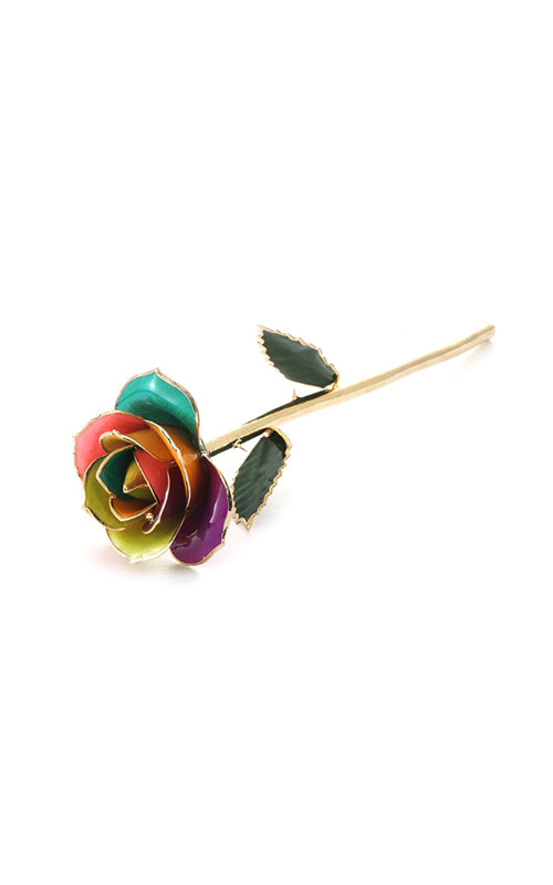 Albert's Lacquer Dipped Gold Trimmed Rainbow Rose With Box and Stand