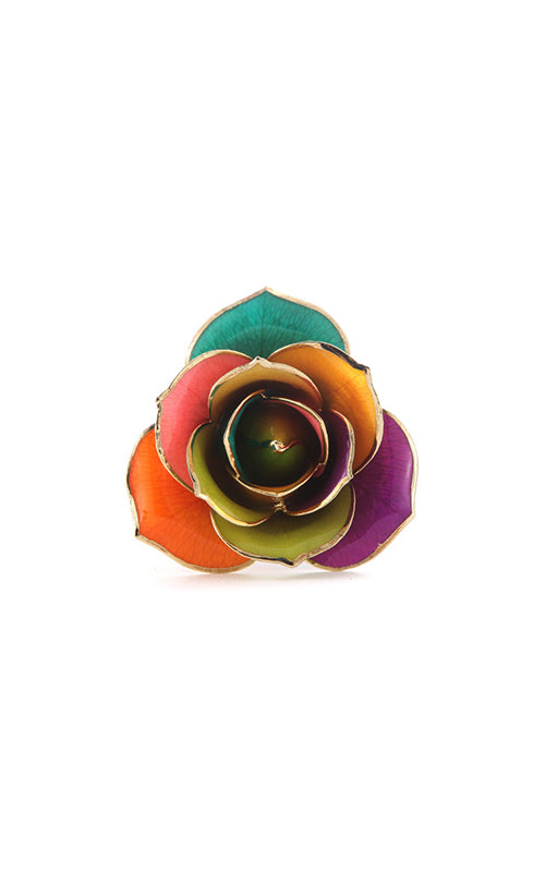 Albert's Lacquer Dipped Gold Trimmed Rainbow Rose With Box and Stand