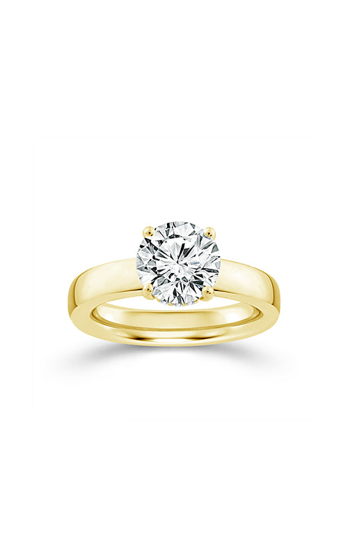 Albert's 14K Yellow Gold 1.03CTW Round Diamond Hidden Halo Engagement Ring FRE-3749LSXISI2Y4