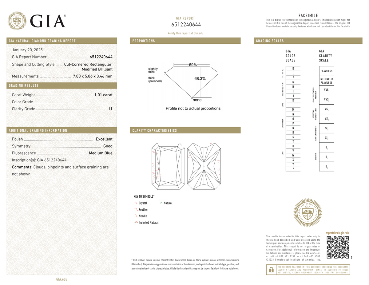 Albert's Cathedral Radiant 14K Yellow Gold Engagement Ring