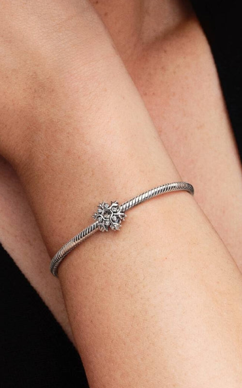 Pandora Snowflake Charm