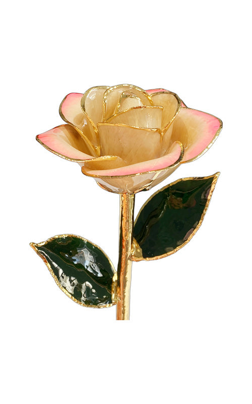 Albert's Lacquer Dipped Gold Trimmed Pink Gradient Rose With Box and Stand