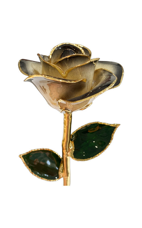Albert's Lacquer Dipped Gold Trimmed Black Gradient Rose With Box and Stand DY-5B-A-AU-58