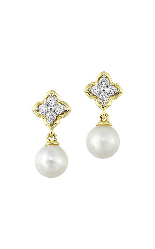 Albert's 14k Yellow Gold .20ct Diamond and Pearl Earrings E11254-4YCPL