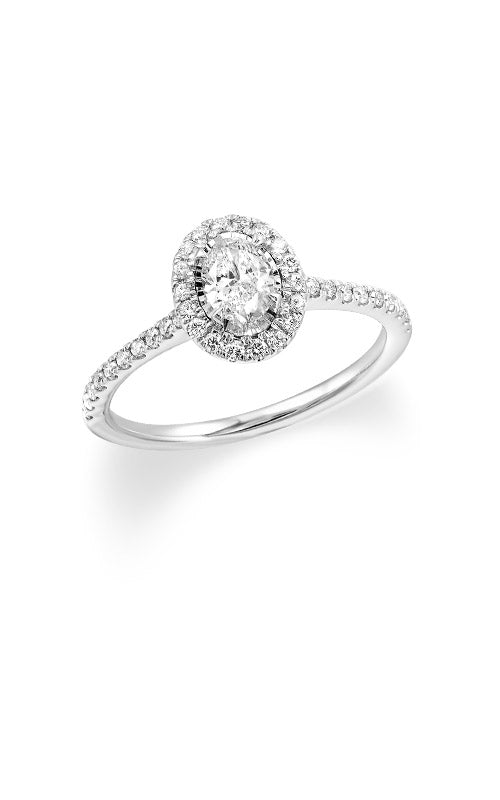 Albert's 14k White Gold 5/8ctw Diamond Halo Ring RG90364-4WC
