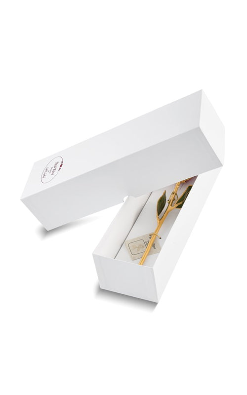 Albert's Lacquer Dipped Gold Trimmed Peppermint Real Rose GP9352