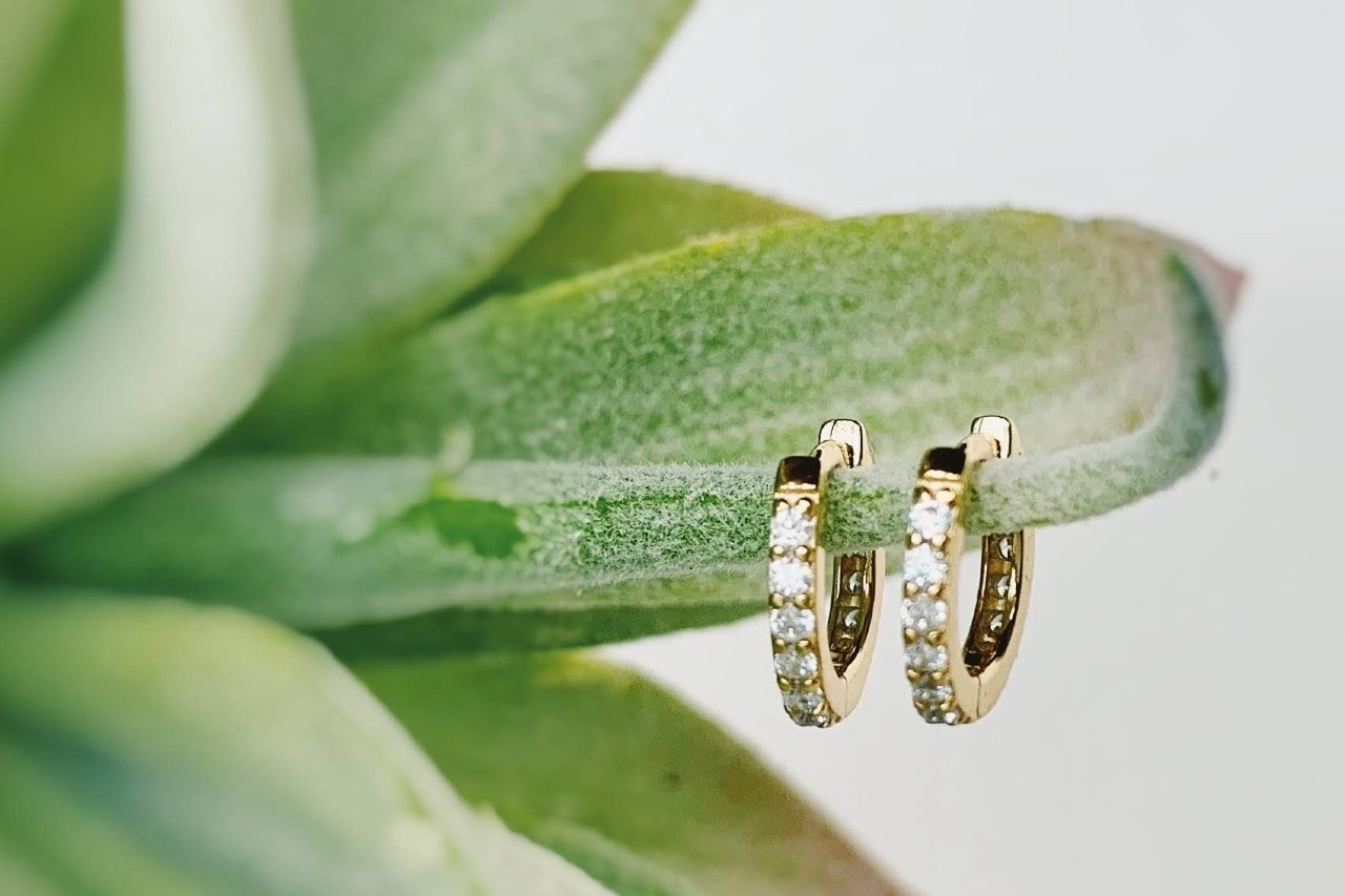 a pair of yellow gold huggies earrings lined with diamonds hanging on a succulent plant