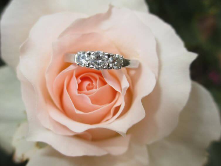 Engagement Ring on a Lovely Rose