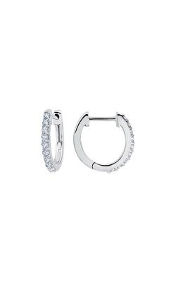 Albert`s 14k White Gold 1/3ctw Diamond Huggie Earrings EF-4075A68W4S