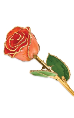 Albert's Lacquer Dipped Gold Trimmed Orange Real Rose