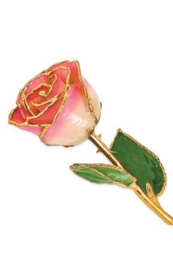 Albert's Lacquer Dipped Gold Trimmed White Pink Real Rose GP9350