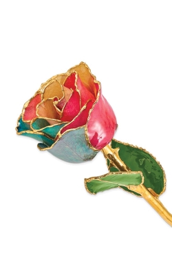 Albert's Lacquer Dipped Gold Trimmed Tri Color Real Rose