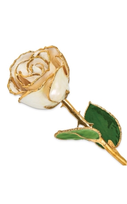 Albert's Lacquer Dipped Gold Trimmed White Satin Real Rose GP9345