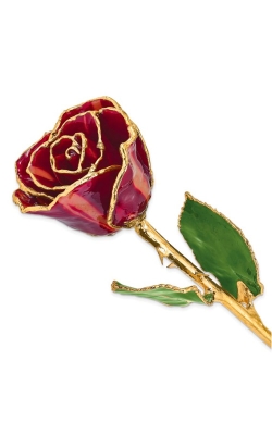 Albert's Lacquer Dipped Gold Trimmed Abracadabra Real Rose GP9353