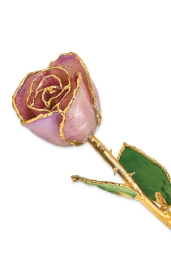 Albert's Lacquer Dipped Gold Trimmed Lavender Real Rose GM22720