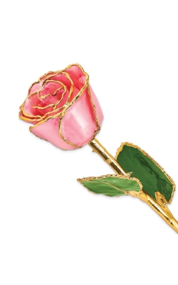 Albert's Lacquer Dipped Gold Trimmed Pink Pearl Real Rose GM22718
