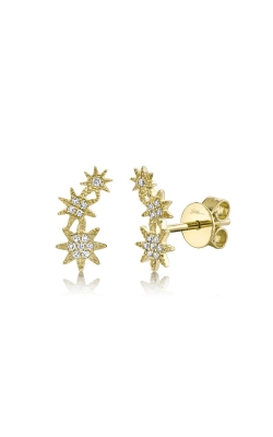 Shy Creation 14k Yellow Gold .06tw Diamond Star Earrings SC55006158