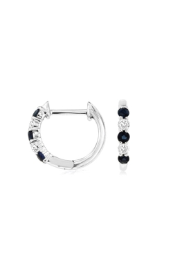 Albert's 14k .25ctw Blue Sapphire and Diamond Hoop Earrings WH1627S