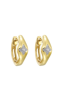 Albert's 14k Yellow Gold .05ctw Diamond Hoop Earrings ER10987-4YC