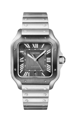 Santos de Cartier Watch WSSA0037