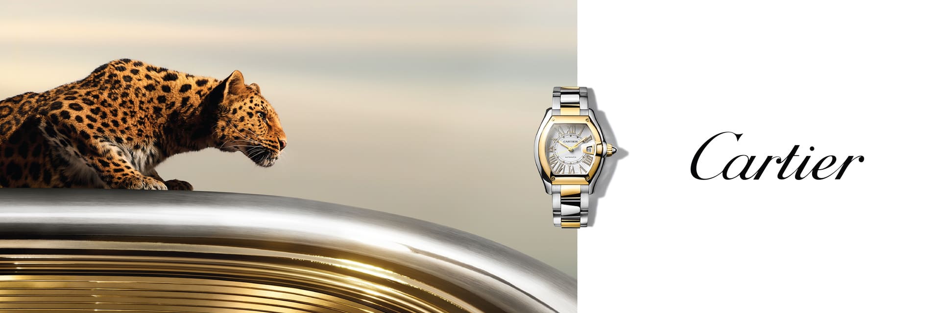 Cartier Watches