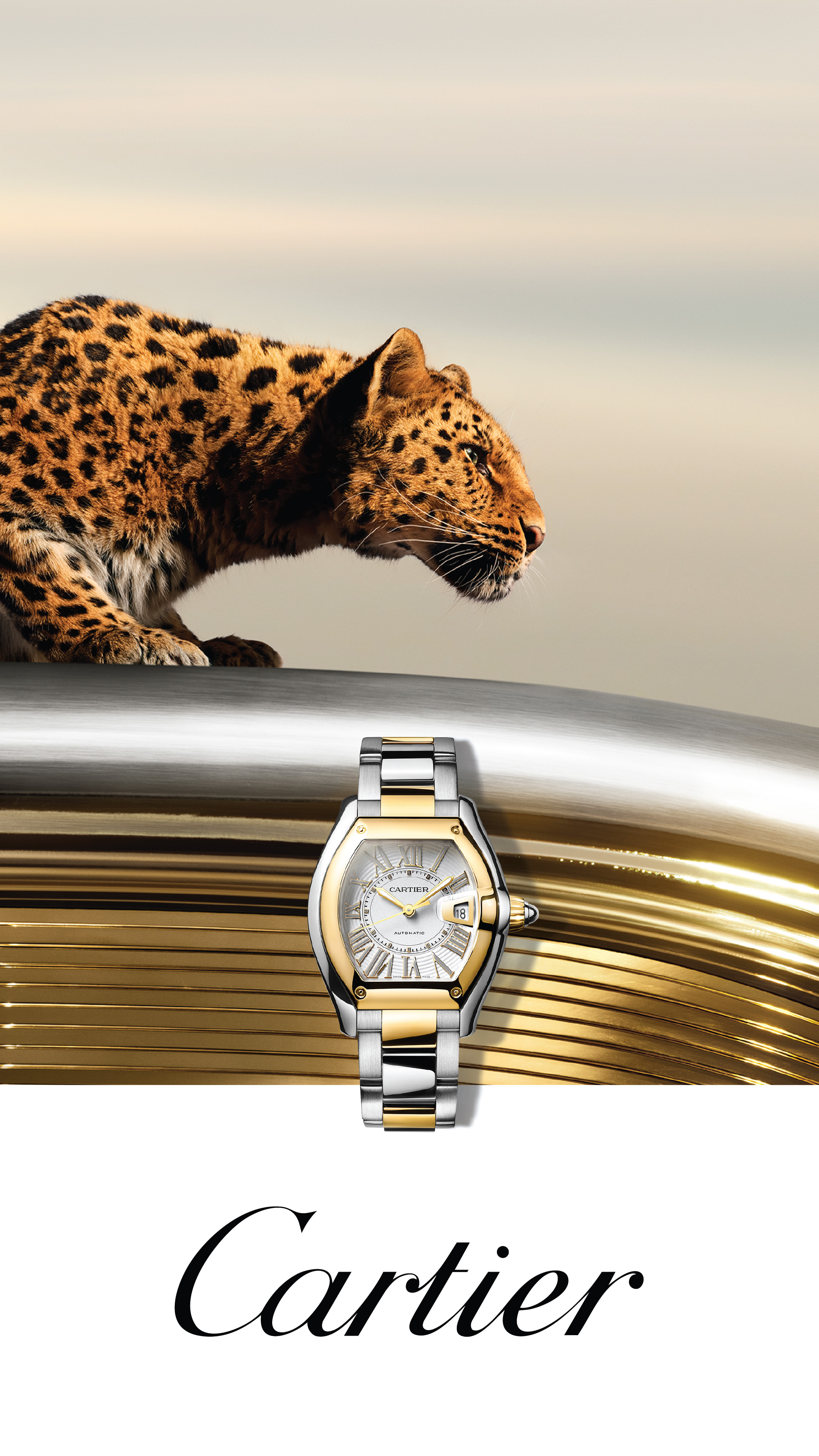 Cartier Watches Cartier Watches