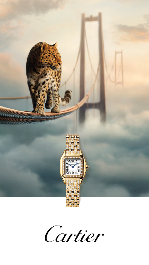 Cartier Watches