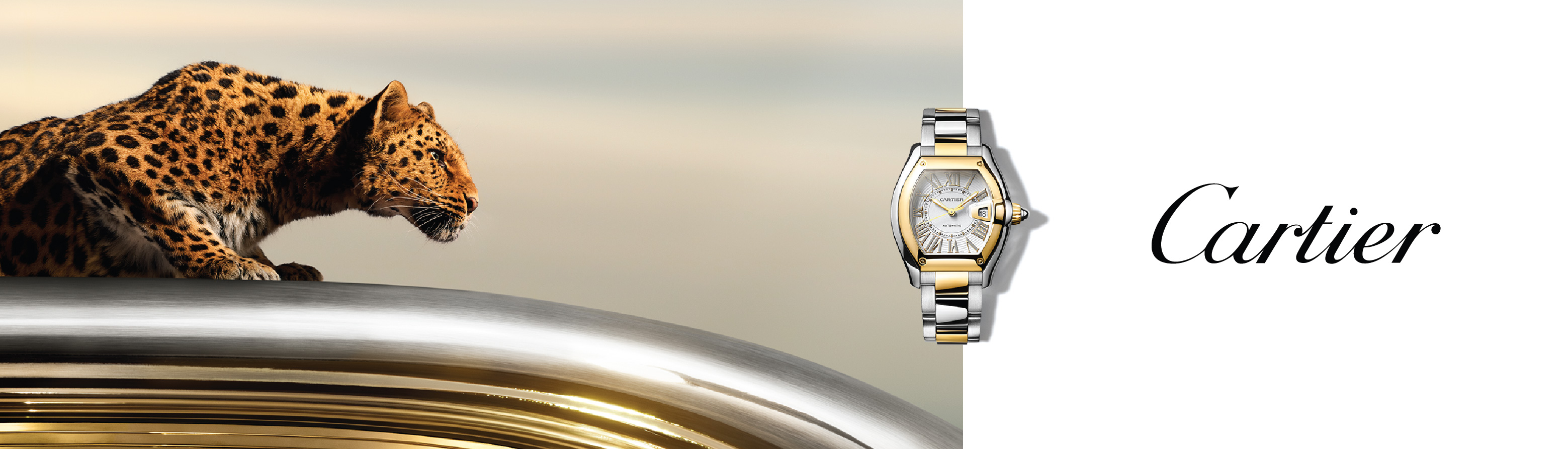 Cartier Cartier