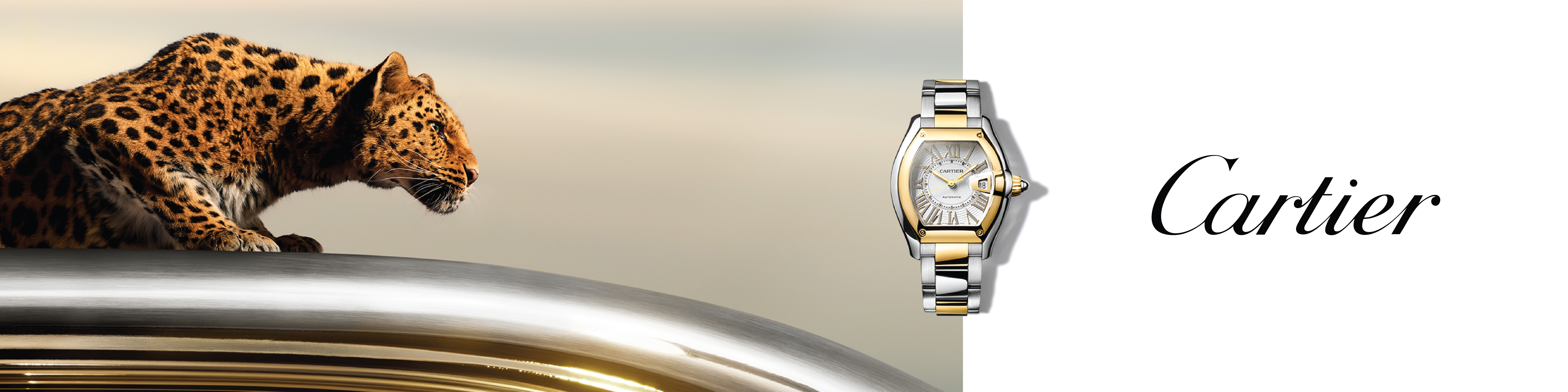 Cartier Watches