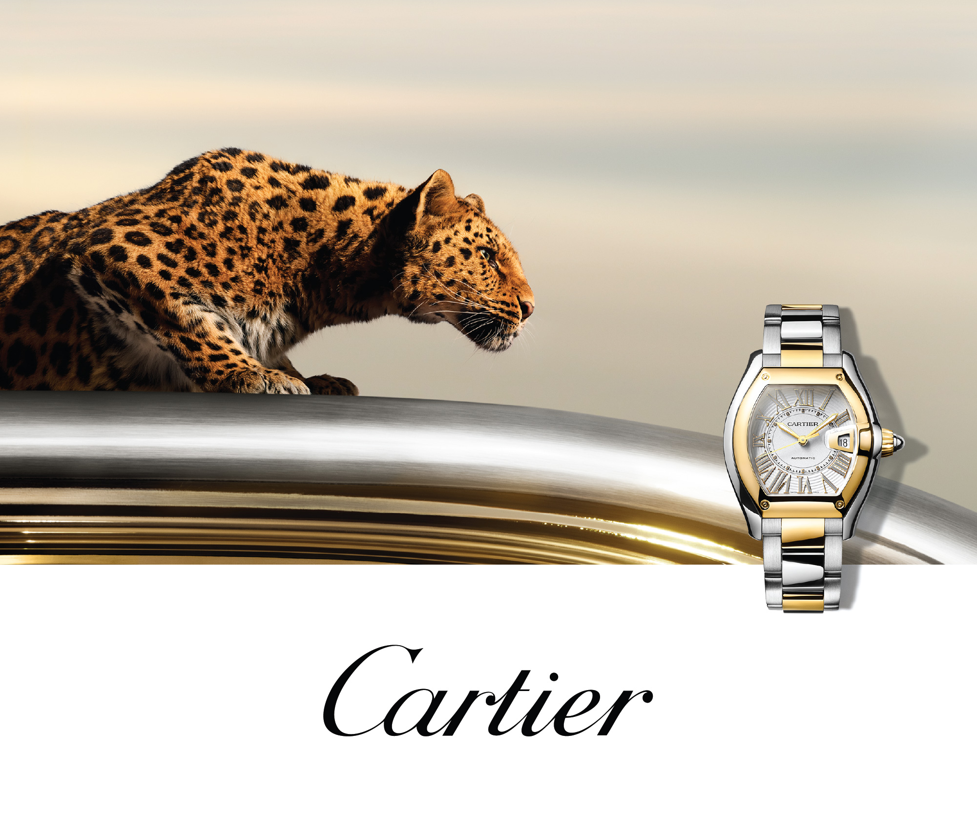 Cartier Watches