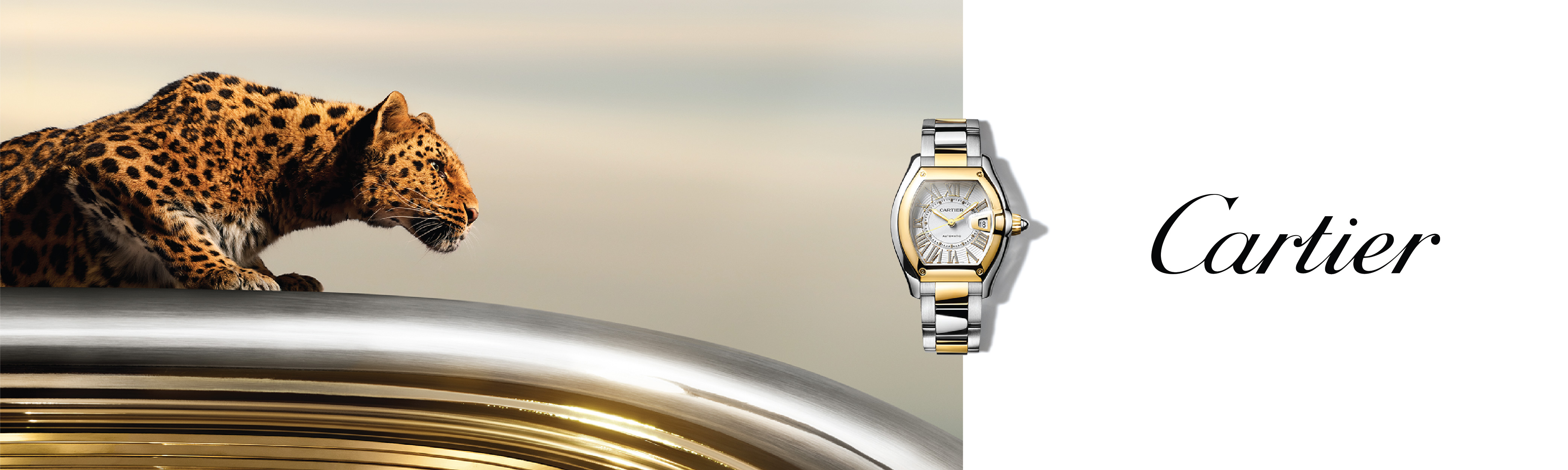 Cartier Watches