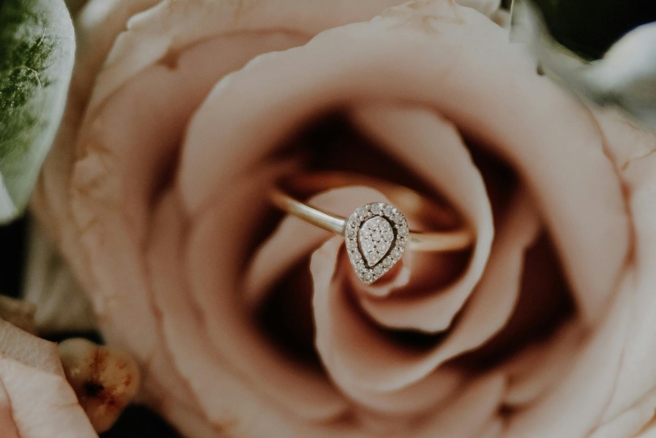 A pear-shaped diamond ring nestled in the soft petals of a blush rose.