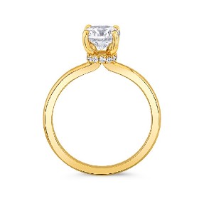 HIDDEN HALOS ENGAGEMENT RINGS HIDDEN HALOS ENGAGEMENT RINGS